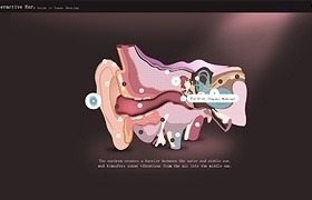 Interactive Ear